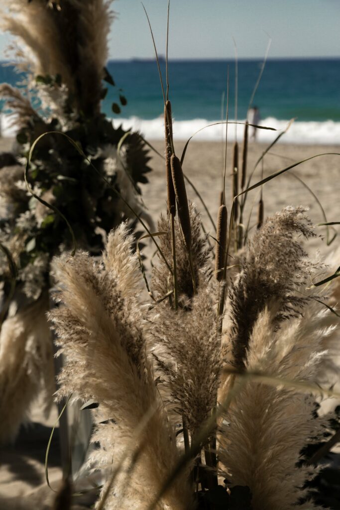 Pampas Gras und Schilf für Bohemian Boho Dekoration bei Hochzeit auf Kreta